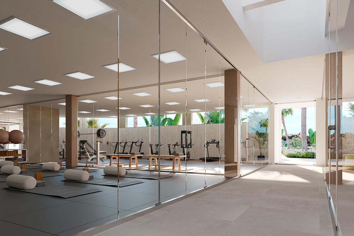 Gimnasio